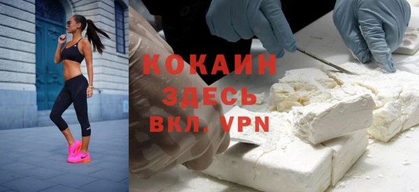 дживик Вязьма