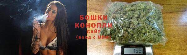 тгк Вяземский