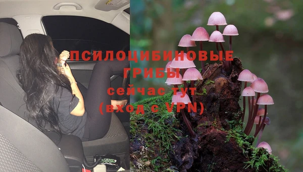 а пвп мука Осинники