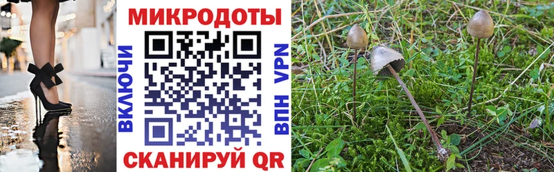 Галлюциногенные грибы Psilocybe  даркнет сайт  Елабуга 